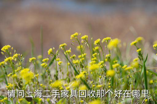请问上海二手家具回收那个好在哪里