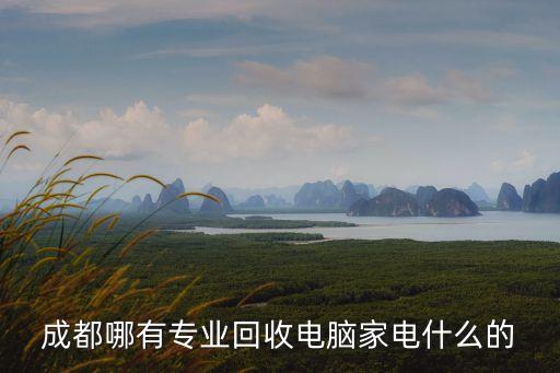 成都 家电回收，在成都有哪些高价回收旧空调的人哪家比较好