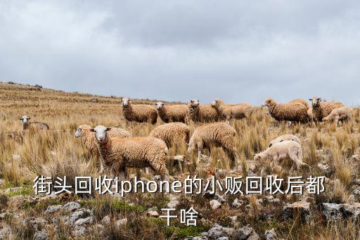 街头回收iphone的小贩回收后都干啥