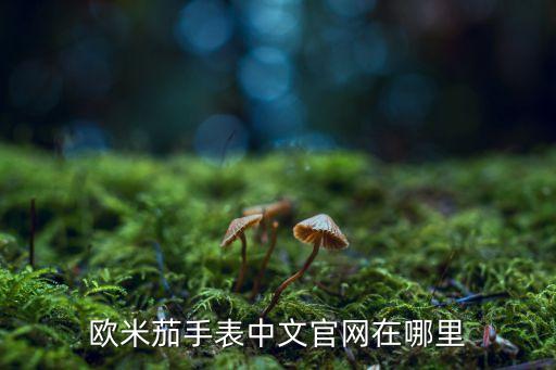 欧米茄官方旗舰店官网，欧米茄手表中文官网在哪里