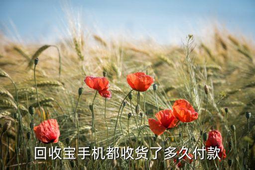 回收宝手机都收货了多久付款