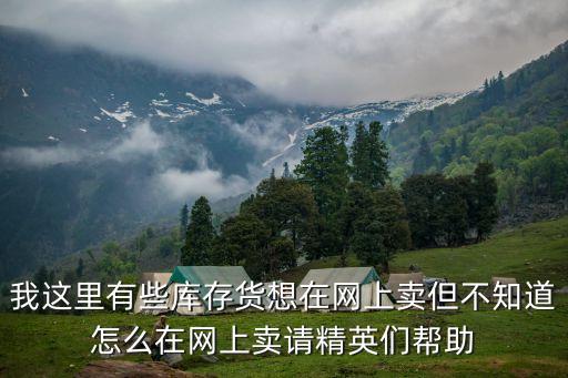 收尾货库存 怎么出手，我这里有些库存货想在网上卖但不知道怎么在网上卖请精英们帮助