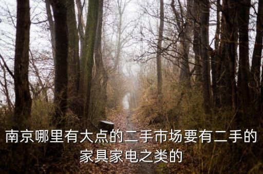 南京哪里有大点的二手市场要有二手的家具家电之类的