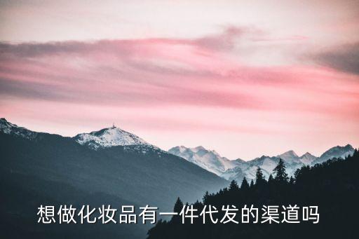 想做化妆品有一件代发的渠道吗