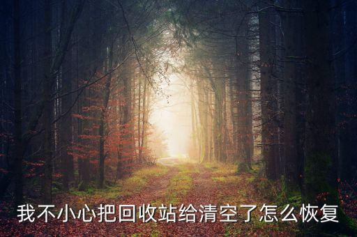 我不小心把回收站给清空了怎么恢复