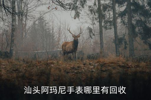有没有回收阿玛尼手表的，汕头阿玛尼手表哪里有回收