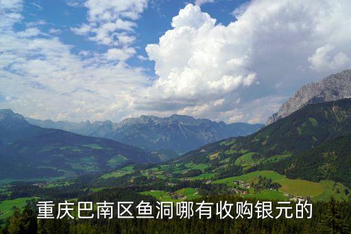 重庆巴南区鱼洞哪有收购银元的