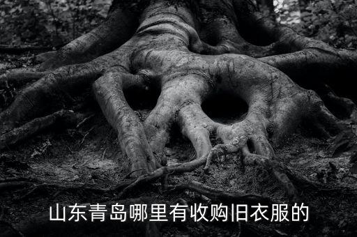 山东青岛哪里有收购旧衣服的