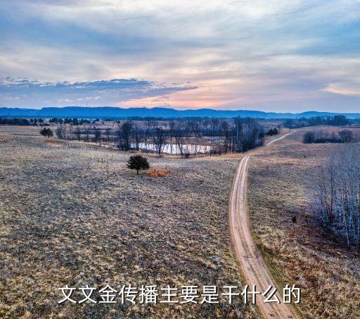 文文金传播主要是干什么的
