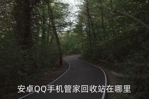 安卓QQ手机管家回收站在哪里