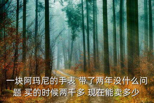 一块阿玛尼的手表 带了两年没什么问题 买的时候两千多 现在能卖多少