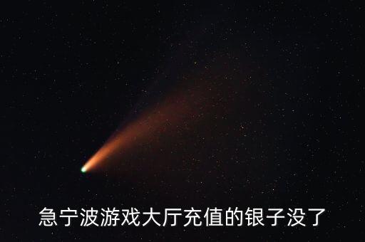 哪里回收宁波大厅银子，急宁波游戏大厅充值的银子没了
