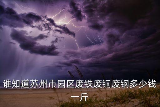 谁知道苏州市园区废铁废铜废钢多少钱一斤