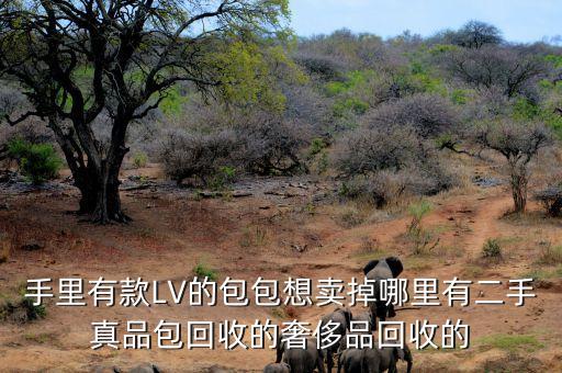 手里有款LV的包包想卖掉哪里有二手真品包回收的奢侈品回收的