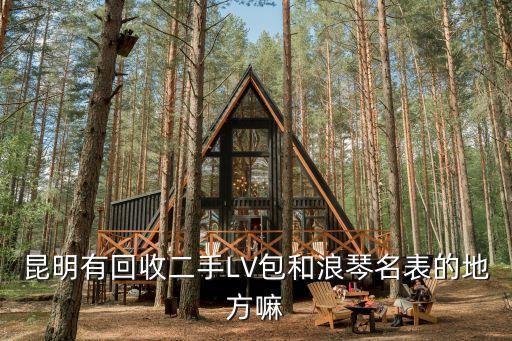 昆明有回收二手LV包和浪琴名表的地方嘛