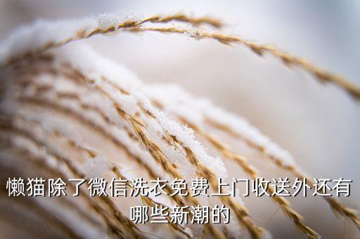 懒猫除了微信洗衣免费上门收送外还有哪些新潮的