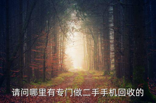 请问哪里有专门做二手手机回收的