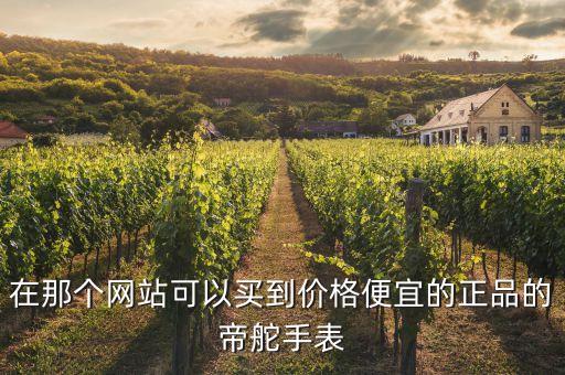 在那个网站可以买到价格便宜的正品的帝舵手表