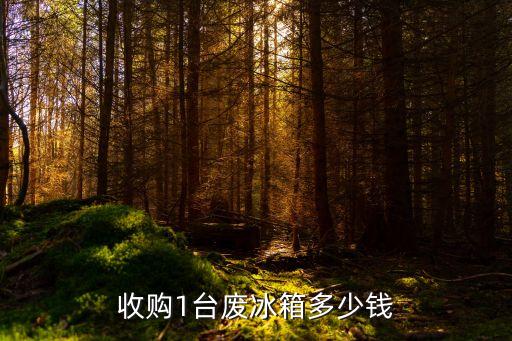 云南废冰箱回收价格多少，有谁知道旧电冰箱能卖多少钱