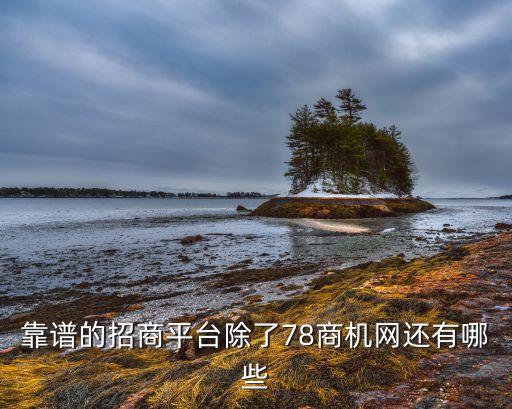 靠谱的招商平台除了78商机网还有哪些