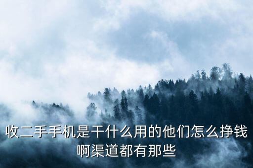 收二手手机是干什么用的他们怎么挣钱啊渠道都有那些