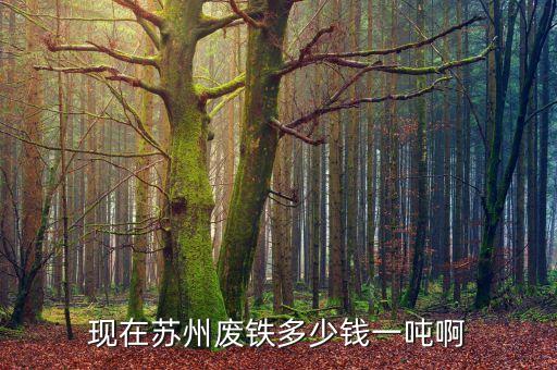 现在苏州废铁多少钱一吨啊