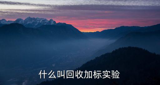 什么叫回收加标实验