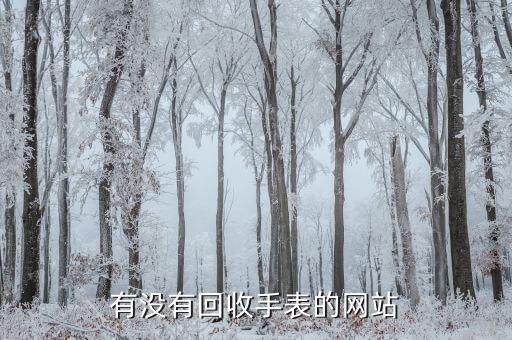 有没有回收手表的网站
