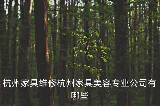 杭州家具维修杭州家具美容专业公司有哪些
