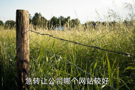 急转让公司哪个网站较好