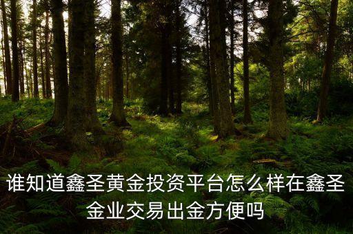 谁知道鑫圣黄金投资平台怎么样在鑫圣金业交易出金方便吗