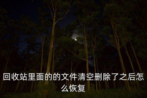 回收站里面的的文件清空删除了之后怎么恢复