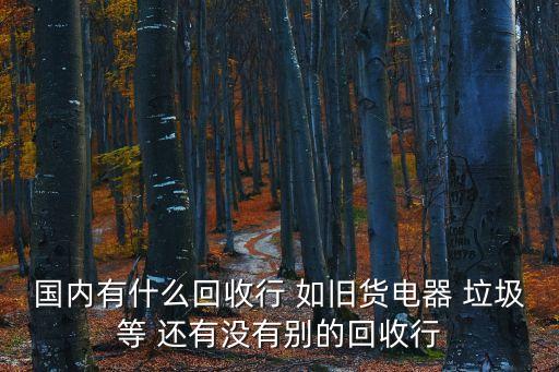 国内有什么回收行 如旧货电器 垃圾等 还有没有别的回收行