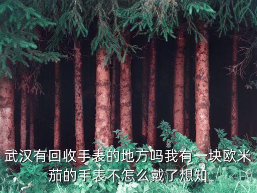武汉哪有回收手表的，武汉有回收手表的地方吗我有一块欧米茄的手表不怎么戴了想知