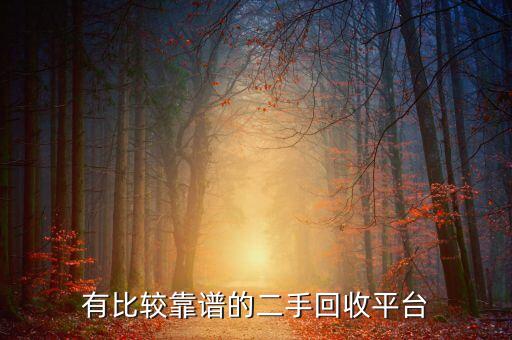 有比较靠谱的二手回收平台
