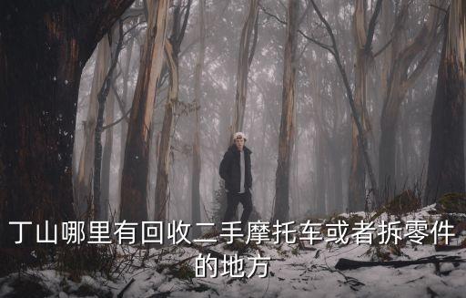丁山哪里有回收二手摩托车或者拆零件的地方