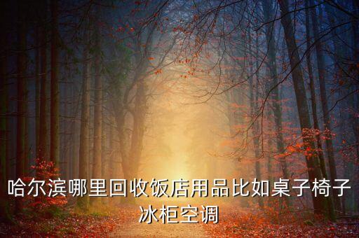 哈尔滨废品回收，哈市什么地方有大型废品收购部