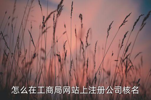 怎么在工商局网站上注册公司核名