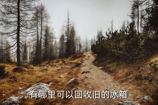 有哪里可以回收旧的冰箱