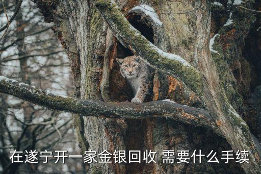 在遂宁开一家金银回收 需要什么手续