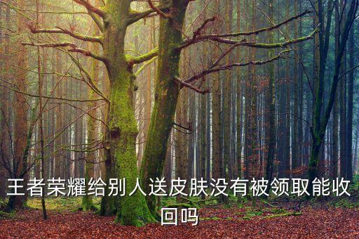 王者荣耀给别人送皮肤没有被领取能收回吗
