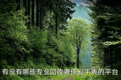 有没有哪些专业回收奢侈品手表的平台