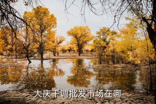 大庆干调批发市场在哪