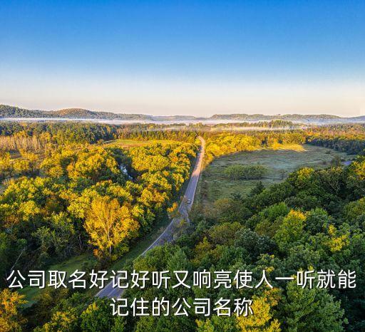 公司取名好记好听又响亮使人一听就能记住的公司名称