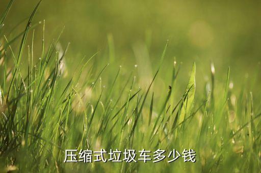 压缩式垃圾车多少钱
