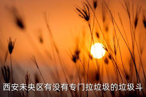 西安未央区有没有专门拉垃圾的垃圾斗