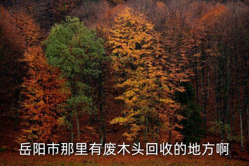 岳阳市那里有废木头回收的地方啊