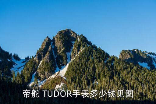 帝舵 TUDOR手表多少钱见图