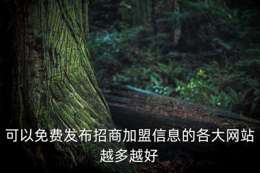 可以免费发布招商加盟信息的各大网站越多越好