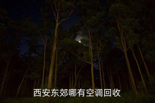 西安东郊哪有空调回收